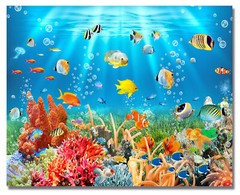 Underwater World Tropical Fish Canvas Wall Modern Art Painting Home Office Decor