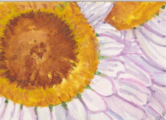 Daisy Flowers ACEO Original White Daisy Watercolor Painting by Sharon Foster