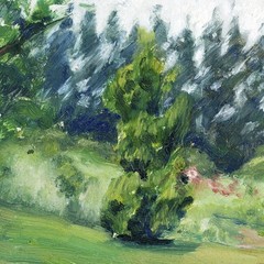 Helen DuMond (NY,CA,OR,1872-1968) oil painting 152683