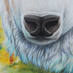 White Buffalo Original Acrylic Painting Huge Canvas 30 by 40 inches
