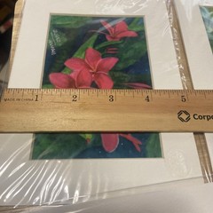 Donald K Hall „Plumaria, Hawaii“ – Watercolor Painting – Signed # 65/61 And #56