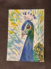 Original ACEO Painting Peacock