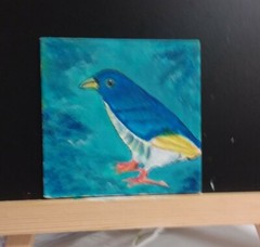 Bird