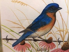 John S Eberhardt, Wildlife Artist, Signed Original Watercolor Bluebird Painting