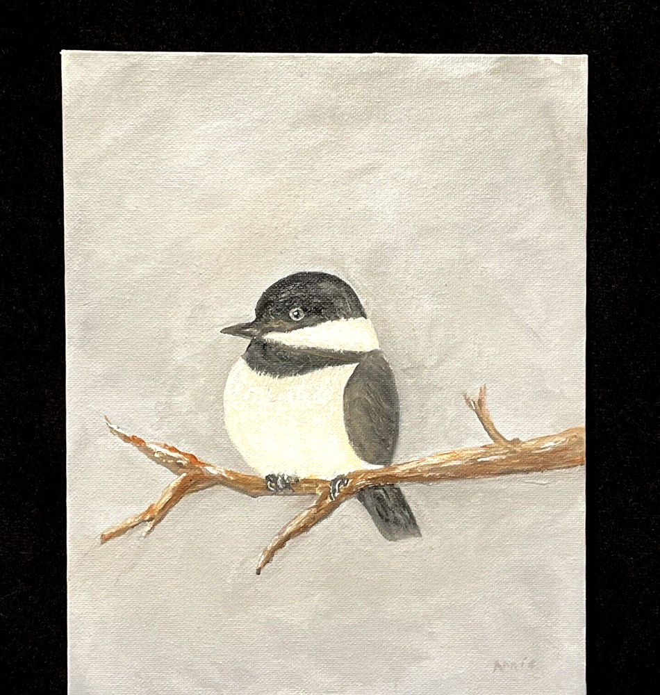 Black Capped Chickadee Oil Painting ACEO Original 8×10 Canvas Board Art Signed