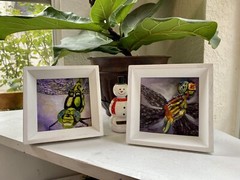 Dragonfly Close Up Original Oil Painting On Gessoed Panelboard 3×3, Frame 5×5