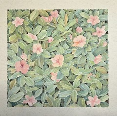 Catharanthus Roseus Watercolor Painting 13inch x 13inch Orignial Illusion Art