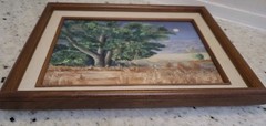 Wood Framed ‚Bonita Cottonwood‘ Oil Painting Shirley A. Seplak Willcox AZ 1993