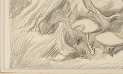 Thomas Hart Benton (1889-1975) Original Graphite Study Nature Scene w Toadstools