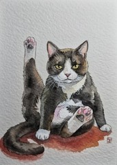 ACEO Original Art Painting 100% Handmade OOKA „Yoga Instructor“ Cat Kitty Feline