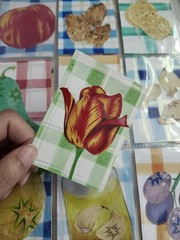 „Floral: Tulip with a Virus“ ACEO Signed And Dated By Alexie Janay
