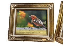 Vintage Ornate Gold Bird Art Frames Featuring Lovely Bird Prints & Quotes Set 2