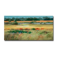 Grasslands by Barbara Cleary Gallery-Wrapped Canvas Giclee Art (24 in x 48 in)