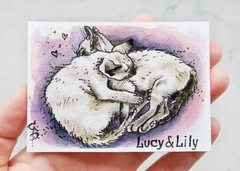ACEO Custom painting from photo Pet portrait Watercolor Cat Dog Commission art