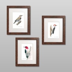 Northern Flicker Giclee Print of Hand-Painted Watercolor, Unframed