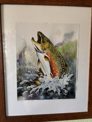 Brook trout Fly Fishing Watercolor Print Art Signed Artiist FLY FISHING