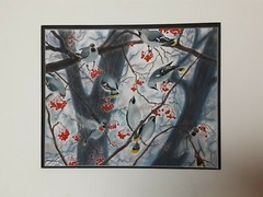 Original Pastel Painting Bohemian Waxwings Art Decor Birds Signed Lura Maiman