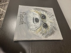12 X 12 Canvas Painting Dog Papash Grey Black White and Hints of Yellow