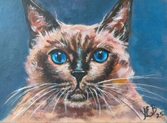 Siamese Cat Original Acrylic Painting Kitty Portrait Pet 6×8 Inch