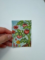 Original ACEO Watercolor Series Vegetable Garden Poppy PaletteandPage Tomatoes