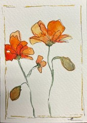Set of 3 minimalist watercolor poppies – orignal, signed
