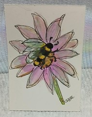 ACEO OOAK Series – Bees & Blooms in Watercolor Scribble Outline Style Pink Daisy