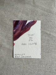 ACEO Original Acrylic Plum Fruit Cute Mini Art by Bri Sander 3.5 x 2.5″ OOAK ATC