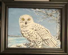 Original Oil Painting of Snow Owl, Framed, Realism, Nature – Marie Williams