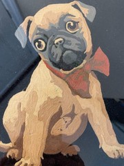 Rare Vintage Paint by Number Pug Puppy Red Bow on Black Velvet Collectible