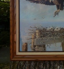 Eagle in Flight Feeding Her Young, Magnificent Original Oil, Ginger Davis. MINT