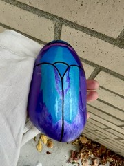 Hand Painted Art “Jewel Flower Beetle ” in Metallic Acrylic on a Rock! 6.5x4x2