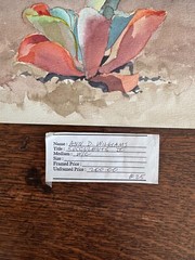 1990s Watercolor Painting Succulent Plant California Artist 6 x 9