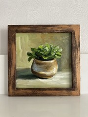 original oil painting still life 20х20cm Semi-abstract small money tree, plant