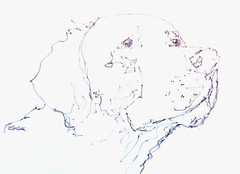LOVELESS – „GOLDEN GAZE“ 11 X 15 drawing on Gallery Paper