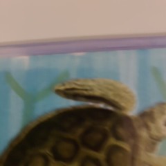 ACEO ORIGINAL ART CARD SEA TURTLE SEASCAPE Underwater Y Farm Caribbean Islands