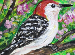 ORIGINAL ACEO PAINTING Red Bellied WOODPECKER Spring BIRD Animal Nature ATC ART