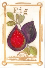 Hand-Painted Watercolor Fig Botanical Illustration Art Painting on Paper