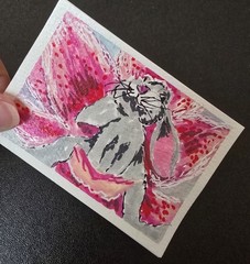 ACEO ATC OOAK Still Life Summer Riding The Lily Acrylic On Paper By Stacey Ann