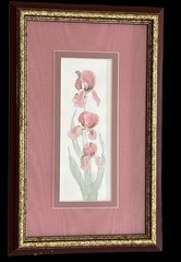 Original Watercolor Painting Of Pink Irises Signed Matted & Framed 8.5” X 14”