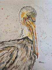 Original 9×12” Pelican Watercolor Painting On Acid Free Watercolor Cardstock