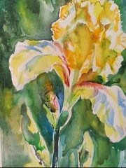 Yellow Iris Flower Watercolor Painting Still Life Irises Floral Wall Art 8“/6“