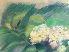 Large „Flowers On A Branch Scene“ Colored Pencil Drawing – Signed And Framed