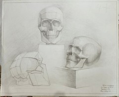 ​3 Human Skulls Original Pencil Drawing Different Views Academic Anatomy Study