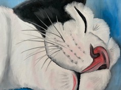 Original oil painting signed 11 x 14 in cute white and black cat sleeping