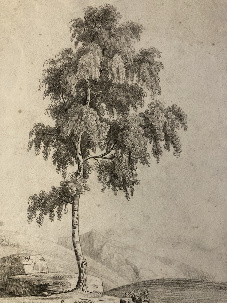 Large Drawing Xixth 1850 Pencil Landscape Shaft Antique to Identify Sheet Study