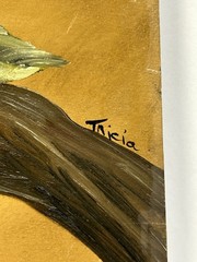 Original Oil Painting Exotic Jungle Toucan Bird On Tree Flowers Branch Signed