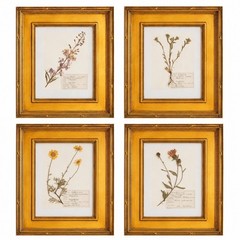 Custom Framed Vintage Finnish Herbarium Botanical Specimens, set of four