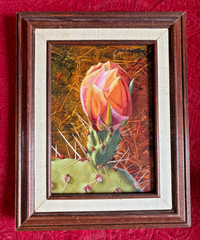 Listed Artist John Cox (1941-) CACTUS FLOWER BUD Original Oil Painting 7×5″ 1999