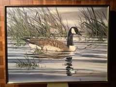Vintage Watercolor Painting Canadian Goose By Joe Garcia Ducks Unlimited 39×30”