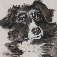 M.A.W – Framed 20th Century Watercolour, Quiller the Border Collie